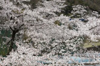 EOS5DsR+EF24-70mmF2.8LⅡUSM 70mm f16 1/40sec ISO100 PLフィルター