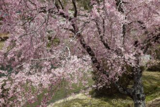 EOS5DsR+EF24-70mmF2.8LⅡUSM 53mm f16 1/25sec ISO100 PLフィルター