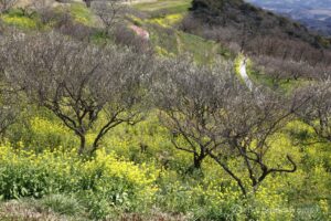 EOS5DsR+EF16-35mmF4L IS USM 35mm f16 1/20sec ISO100 PLフィルター