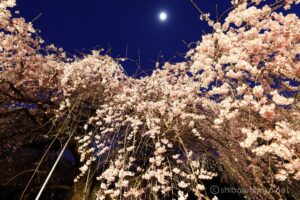 EOS5DsR+EF24-70mmF2.8LⅡUSM 24mm f8 25sec ISO100 PLフィルター