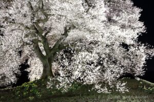 EOS5DsR+EF24-70mmF2.8LⅡUSM 35mm f8 8sec ISO100