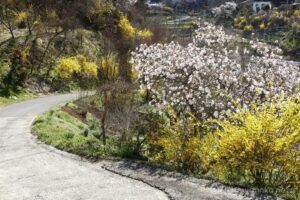 EOS5DsR+EF24-70mmF2.8LⅡUSM 42mm f16 1/13sec ISO100 PLフィルター