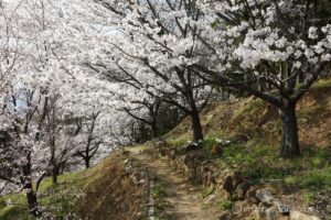 EOS5DsR+EF24-70mmF2.8LⅡUSM 35mm f16 1/20sec ISO100 PLフィルター