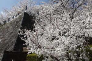 EOS5DsR+EF24-70mmF2.8LⅡUSM 44mm f11 1/80sec ISO100 PLフィルター