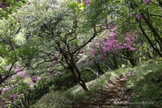 EOS5DsR+EF24-70mmF2.8LⅡUSM 50mm f16 1/5sec ISO100 PLフィルター