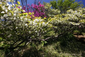 EOS5DsR+EF16-35mmF4L IS USM 16mm f16 1/25sec ISO100 PLフィルター