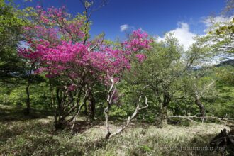 EOS5DsR+EF16-35mmF4L IS USM 16mm f11 1/30sec ISO100 PLフィルター