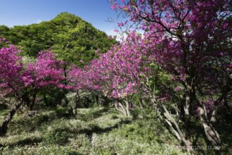 EOS5DsR+EF16-35mmF4L IS USM 16mm f16 1/15sec ISO100 PLフィルター