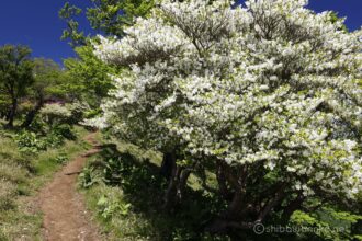 EOS5DsR+EF16-35mmF4L IS USM 26mm f16 1/25sec ISO100 PLフィルター