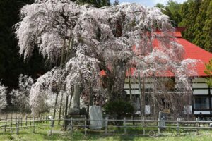 EOS5DsR+EF24-70mmF2.8LⅡUSM 53mm f11 1/25sec ISO100 PLフィルター