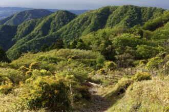 EOS5DsR+EF70-200mmF4L IS USM 70mm f16 1/13sec ISO100 PLフィルター