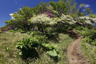 EOS5DsR+EF16-35mmF4L IS USM 24mm f16 1/25sec ISO100 PLフィルター