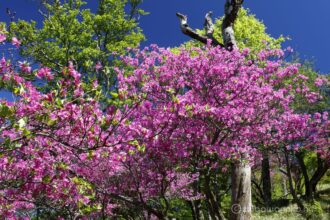 EOS5DsR+EF24-70mmF2.8LⅡUSM 42mm f16 1/15sec ISO100 PLフィルター