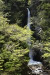 ここからでもいいのですが、ロープや鎖を伝って滝壺間近まで下りれるよう。
ゴールデンウィークということもあるのか、下の河原には結構多くの人が下りて遊んでいる。