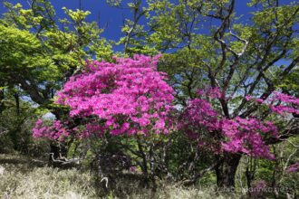 EOS5DsR+EF16-35mmF4L IS USM 17mm f11 1/30sec ISO100 PLフィルター