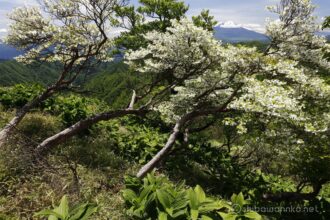 EOS5DsR+EF16-35mmF4L IS USM 25mm f16 1/30sec ISO100 PLフィルター