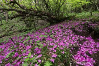 EOS5DsR+EF16-35mmF4L IS USM 16mm f16 0.6sec ISO100 PLフィルター