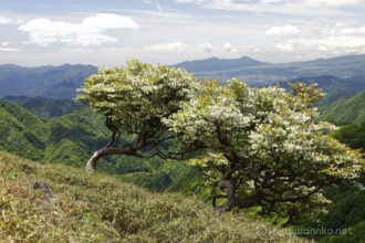EOS5DsR+EF24-70mmF2.8LⅡUSM 59mm f16 1/25sec ISO100 PLフィルター