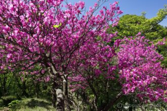 EOS5DsR+EF16-35mmF4L IS USM 25mm f16 1/15sec ISO100 PLフィルター