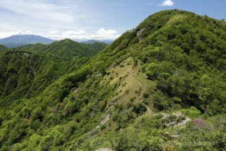 EOS5DsR+EF16-35mmF4L IS USM 35mm f11 1/40sec ISO100 PLフィルター