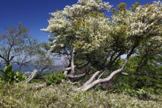 EOS5DsR+EF16-35mmF4L IS USM 31mm f16 1/30sec ISO100 PLフィルター