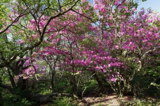 EOS5DsR+EF70-200mmF4L IS USM 20mm f11 1/8sec ISO100 PLフィルター