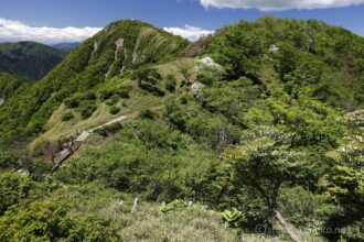 EOS5DsR+EF16-35mmF4L IS USM 24mm f11 1/60sec ISO100 PLフィルター 美しい稜線が蛭ヶ岳へ続く。