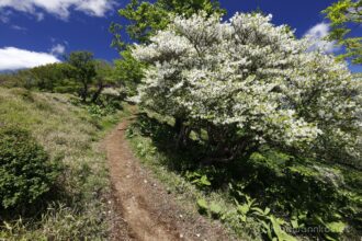 EOS5DsR+EF16-35mmF4L IS USM 50mm f11 1/50sec ISO100 PLフィルター