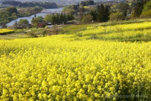 EOS5DsR+EF24-70mmF2.8LⅡUSM 70mm f16 1/15sec ISO100 PLフィルター