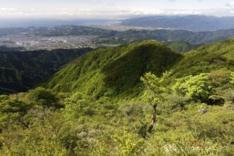EOS5DsR+EF24-70mmF2.8LⅡUSM 24mm f11 1/50sec ISO100 PLフィルター
