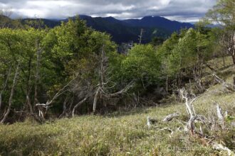 EOS5DsR+EF24-70mmF2.8LⅡUSM 24mm f11 1/40sec ISO100 PLフィルター