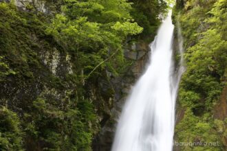 EOS5DsR+EF24-70mmF2.8LⅡUSM 50mm f11 0.4sec ISO100 PLフィルター