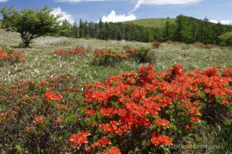 EOS5DsR+EF16-35mmF4L IS USM 33mm f16 1/25sec ISO100 PLフィルター