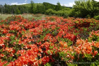 EOS5DsR+EF16-35mmF4L IS USM 30mm f16 1/25sec ISO100 PLフィルター