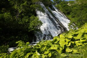 EOS5D MarkⅡ+EF24-105mmF4L IS USM 24mm f22 1/20sec ISO200 PLフィルター