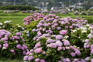 EOS5D MarkⅡ+EF70-200mmF4L IS USM 100mm f22 1/15sec ISO200 PLフィルター