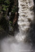 EOS5DsR+EF100-400mmF4.5-5.6L ISⅡUSM 278mm f5 1/500sec ISO100 PLフィルター