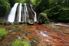 王滝は高さは40mと巨瀑ではありませんが、幅の広い落ち口から幾筋もの流れを落とす姿を滝壺から見上げると非常に良い形です。
何よりも、このどこにも見ない赤い岸壁と渓床が美しすぎる。
もうこれ、100名瀑でいいんじゃね?