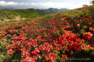 EOS5DsR+EF16-35mmF4L IS USM 16mm f16 1/15sec ISO100 PLフィルター