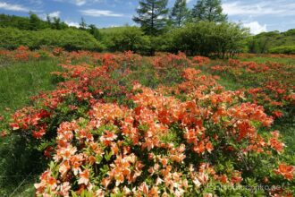 EOS5DsR+EF16-35mmF4L IS USM 16mm f16 1/25sec ISO100 PLフィルター
