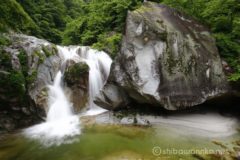 水線を高巻いたり近づいたりしながら渓谷道をゆくと、渓谷道沿いに明確な滝の存在を感じます。
渓谷道から下りてゆくと、大岩から二筋に流れ落ちる豪快な滝が三の滝です。
三の滝の前方の大岩から真正面に眺めることができます。