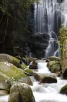 EOS5DsR+EF24-70mmF2.8LⅡUSM 50mm f16 2sec ISO100 PLフィルター