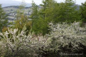 EOS5DsR+EF24-70mmF2.8LⅡUSM 70mm f16 1/5sec ISO100 PLフィルター