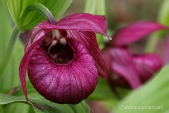 EOS5DsR+EF100-400mmF4.5-5.6L ISⅡUSM 400mm f11 2sec ISO100 PLフィルター