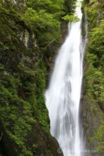 EOS5DsR+EF24-70mmF2.8LⅡUSM 35mm f8 1/5sec ISO100 PLフィルター