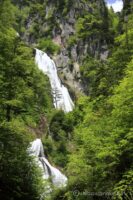 EOS5D MarkⅡ+EF24-105mmF4L IS USM 58mm f8 1/125sec ISO200 PLフィルター