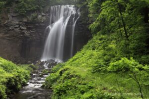 EOS5D MarkⅡ+EF24-105mmF4L IS USM 45mm f16 0.5sec ISO200 PLフィルター