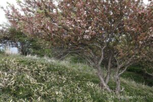 EOS5DsR+EF24-70mmF2.8LⅡUSM 35mm f16 1/4sec ISO100 PLフィルター