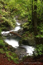 EOS5DsR+EF24-70mmF2.8LⅡUSM 45mm f11 3.2sec ISO100 PLフィルター