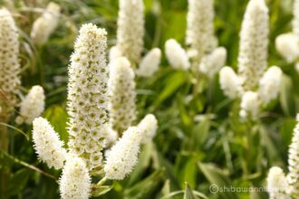 EOS5DsR+EF24-105mmF4L IS USM 105mm f8 1/60sec ISO100 PLフィルター